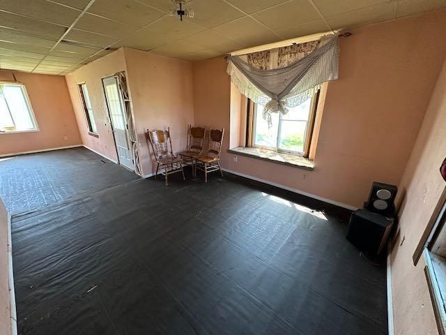 807 County Road 6, Renville, MN 56284