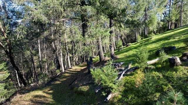 21895 One Fine Pl, Colfax, CA 95713