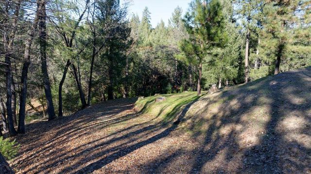 21895 One Fine Pl, Colfax, CA 95713