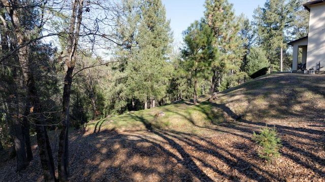 21895 One Fine Pl, Colfax, CA 95713
