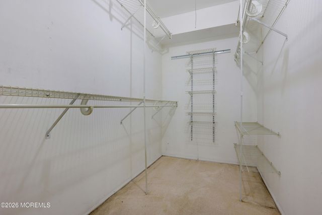 101 Wellington Place 101, Matawan, NJ 07747