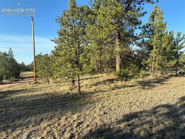 tbd Doe Valley Road, Guffey, CO 80820