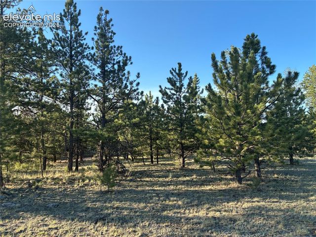 tbd Doe Valley Road, Guffey, CO 80820