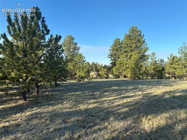 tbd Doe Valley Road, Guffey, CO 80820