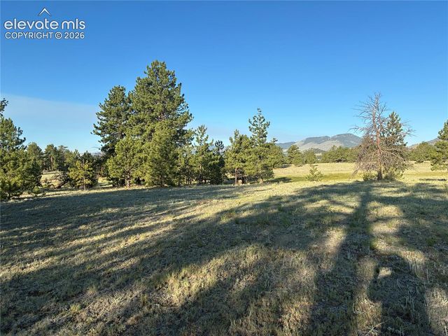tbd Doe Valley Road, Guffey, CO 80820