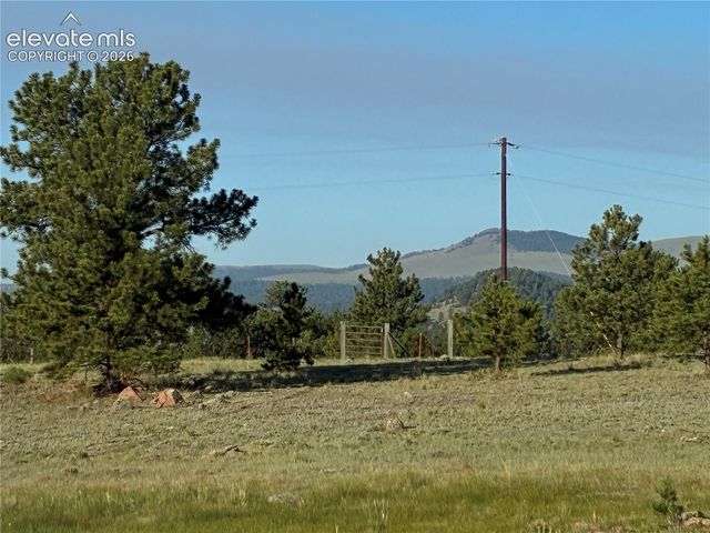 tbd Doe Valley Road, Guffey, CO 80820