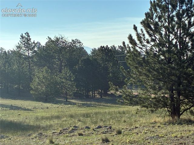 tbd Doe Valley Road, Guffey, CO 80820