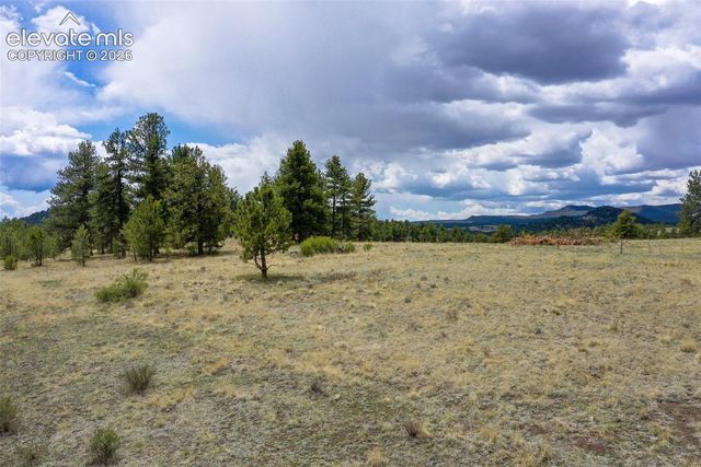 tbd Doe Valley Road, Guffey, CO 80820
