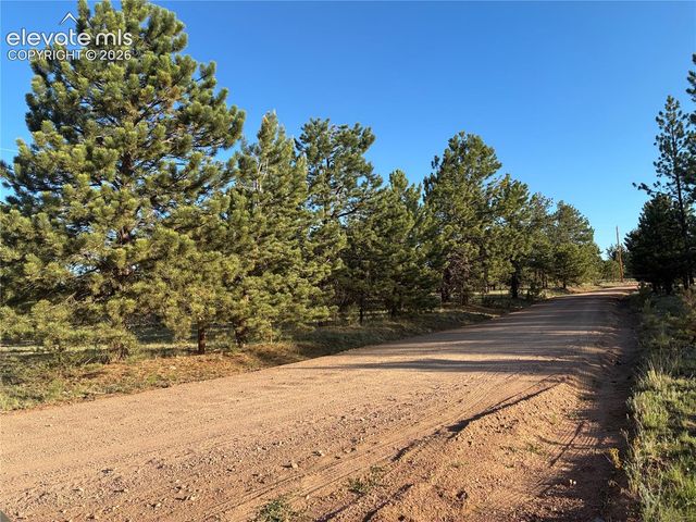 tbd Doe Valley Road, Guffey, CO 80820