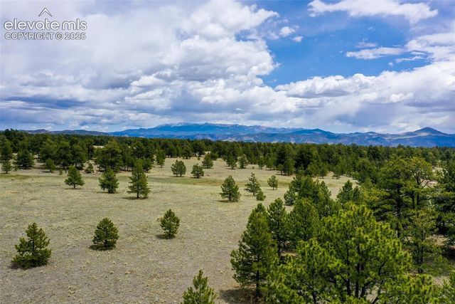 tbd Doe Valley Road, Guffey, CO 80820