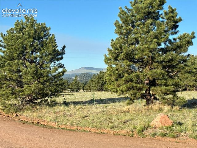 tbd Doe Valley Road, Guffey, CO 80820