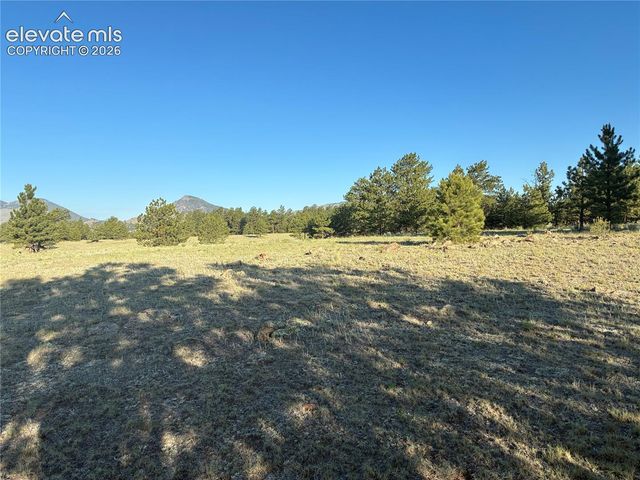 tbd Doe Valley Road, Guffey, CO 80820