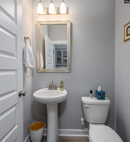2643 Pawtucket Way, Chapin, SC 29036