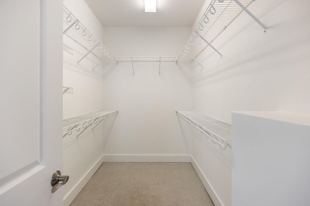 611 Alyse Way, Chattanooga, TN 37405