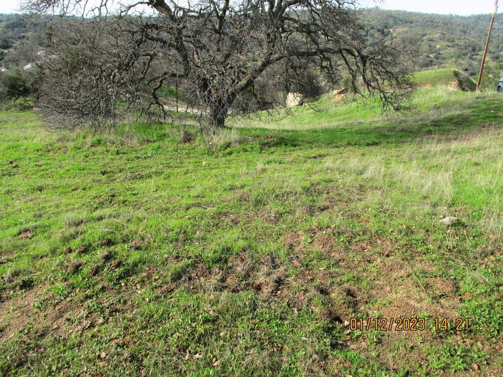 Image 22 of property listing at 39854 Lilley Mountain Drive, Coarsegold, CA 93614