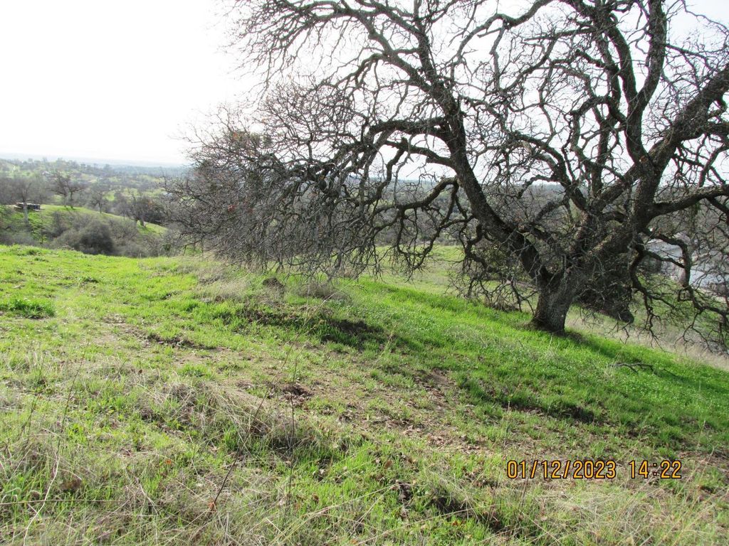 Image 31 of property listing at 39854 Lilley Mountain Drive, Coarsegold, CA 93614