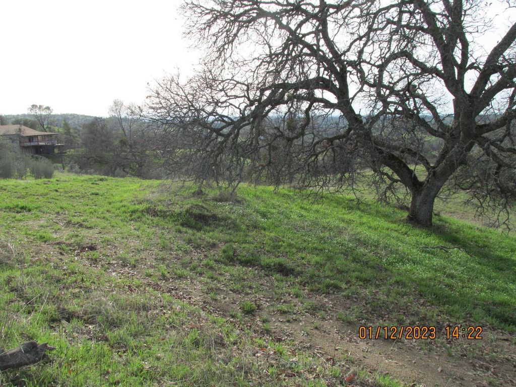 Image 32 of property listing at 39854 Lilley Mountain Drive, Coarsegold, CA 93614
