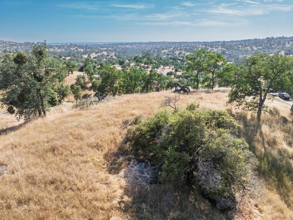 Image 38 of property listing at 39854 Lilley Mountain Drive, Coarsegold, CA 93614