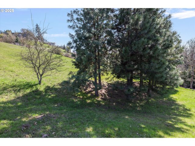 105 ALTA VISTA Rd, White Salmon, WA 98672