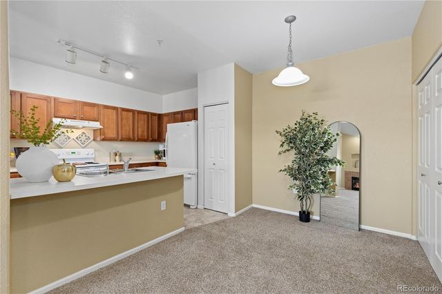 10841 Twenty Mile Road 206, Parker, CO 80134