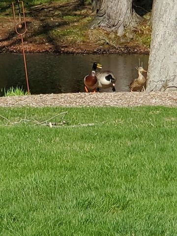 357 Tiffany St, Attleboro, MA 02703