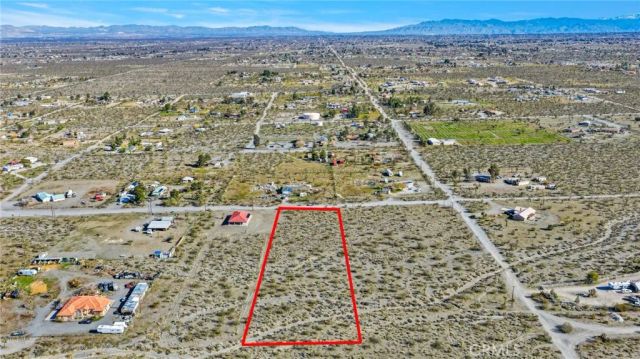 11786 Buckwheat, Pinon Hills, CA 92372