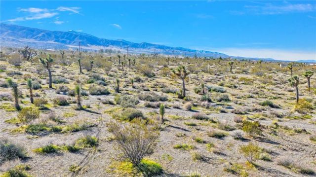 11786 Buckwheat, Pinon Hills, CA 92372
