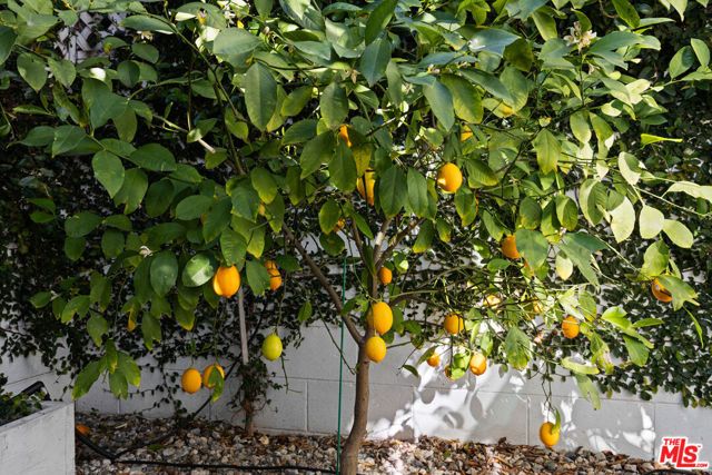 19833 Bassett Street, Winnetka (los Angeles), CA 91306