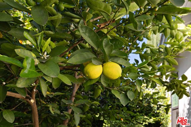 19833 Bassett Street, Winnetka (los Angeles), CA 91306