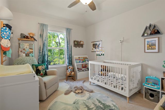 2004 Spotted Court, Plano, TX 75074