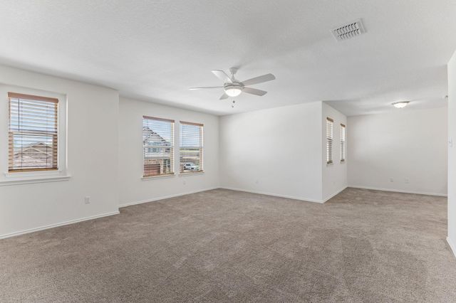 4481 Acerno ST, Round Rock, TX 78665