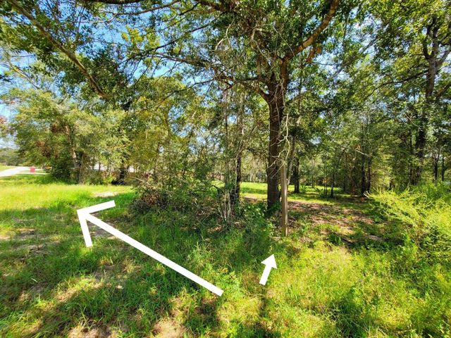 24649 Tipperary Street, Hempstead, TX 77445