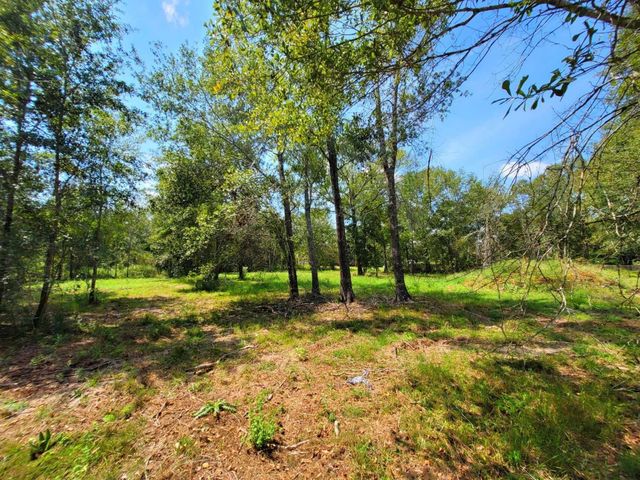 24649 Tipperary Street, Hempstead, TX 77445