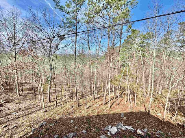 58 Sylamore Vista, Mountain View, AR 72560