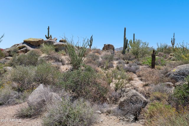 11451 E CHRISTMAS CHOLLA Drive, Scottsdale, AZ 85255