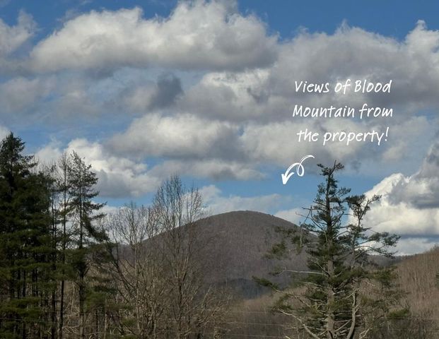 84 Luther Cain Drive, Suches, GA 30572