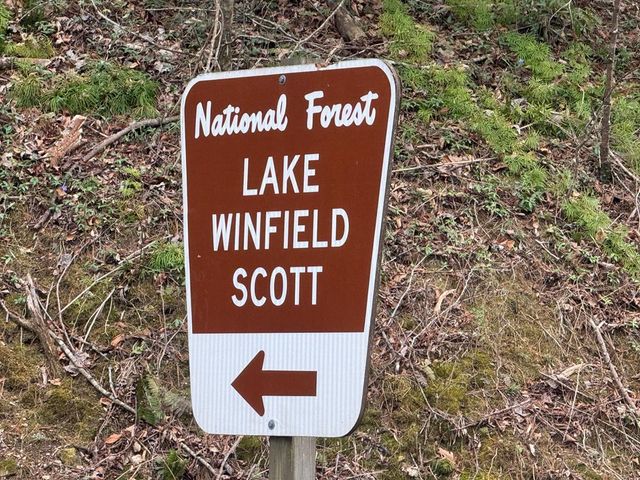 84 Luther Cain Drive, Suches, GA 30572