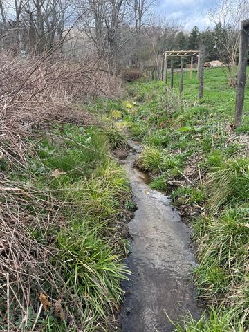 84 Luther Cain Drive, Suches, GA 30572