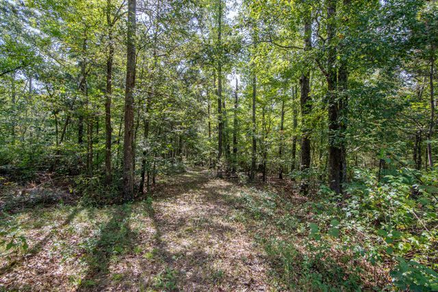 185 Mayfield Ln, Adamsville, TN 38310