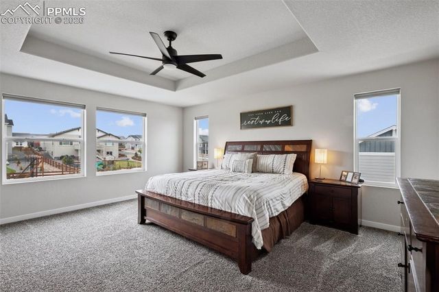 9887 Antelope Ravine Drive, Colorado Springs, CO 80908