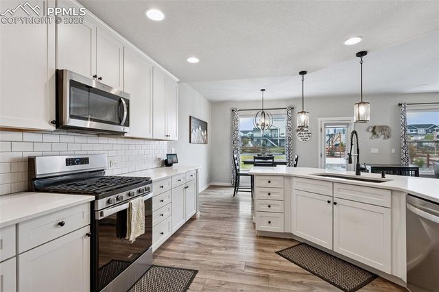 9887 Antelope Ravine Drive, Colorado Springs, CO 80908