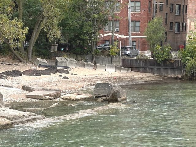 7337 S South Shore Drive 904, Chicago, IL 60649