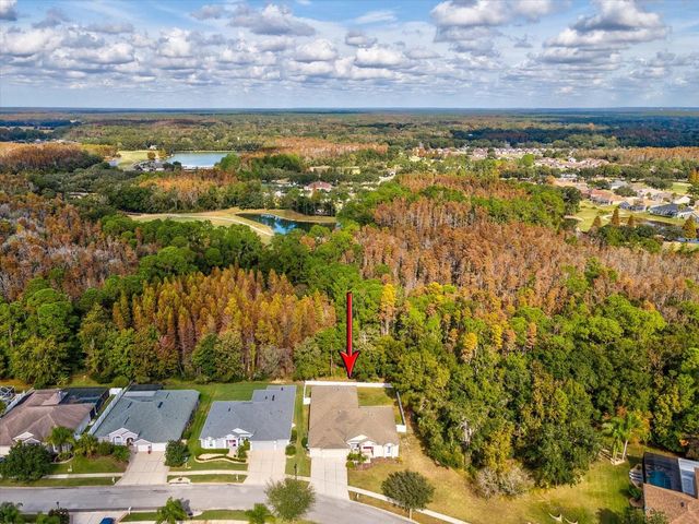 26249 SWORD DANCER DRIVE, Wesley Chapel, FL 33544