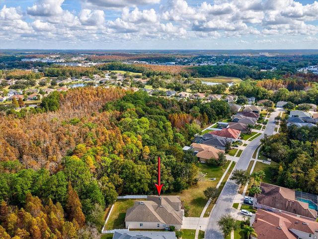 26249 SWORD DANCER DRIVE, Wesley Chapel, FL 33544