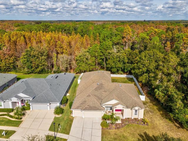 26249 SWORD DANCER DRIVE, Wesley Chapel, FL 33544