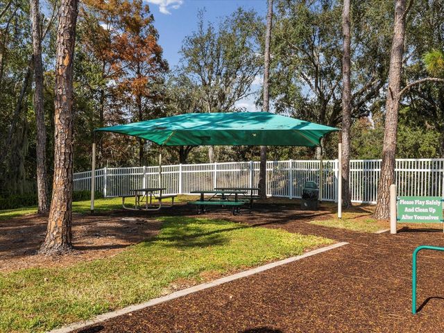 26249 SWORD DANCER DRIVE, Wesley Chapel, FL 33544