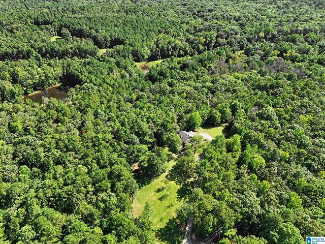 455 CHELSEA RIDGE LANE, Columbiana, AL 35051