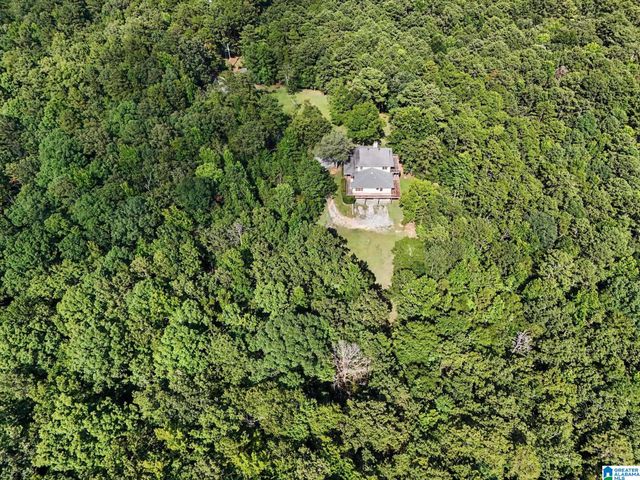 455 CHELSEA RIDGE LANE, Columbiana, AL 35051