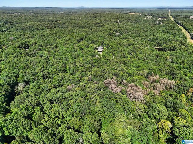 455 CHELSEA RIDGE LANE, Columbiana, AL 35051