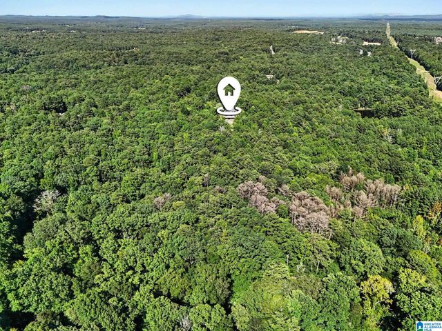 455 CHELSEA RIDGE LANE, Columbiana, AL 35051